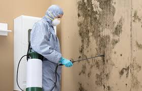 Best Residential Mold Inspection & Testing  in Winchester, MO